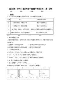 海口市第一中学2024届九年级下学期期中考试化学（A卷）试卷(含答案)