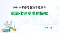 2024河北化学中考备考重难专题：氢氧化钠变质的探究 （课件）