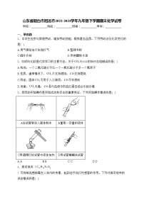 山东省烟台市招远市2022-2023学年九年级下学期期末化学试卷(含答案)