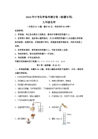 2024年中考化学临考满分卷（新疆专用)