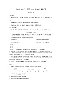 [二模][化学]山东省泰安市宁阳县2024年中考试题（解析版）