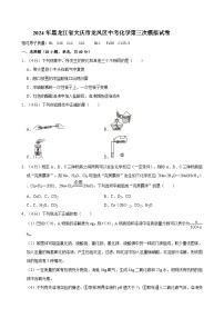 2024年黑龙江省大庆市龙凤区中考化学第三次模拟试卷