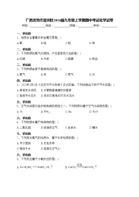 广西河池市宜州区2024届九年级上学期期中考试化学试卷(含答案)