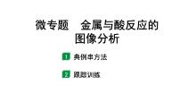 2024江苏中考化学二轮中考考点研究 微专题 金属与酸反应的图像分析（课件）