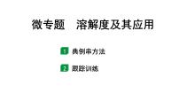 2024江苏中考化学二轮中考考点研究 微专题 溶解度及其应用（课件）