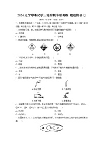 2024辽宁中考化学三轮冲刺专项训练 题组特训七（含答案）