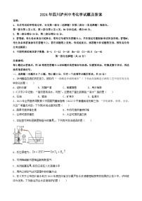 2024年四川泸州中考化学试题及答案