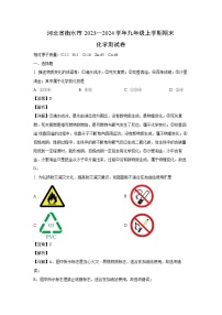 [化学]河北省衡水市2023--2024学年九年级上学期期末测试卷(解析版)