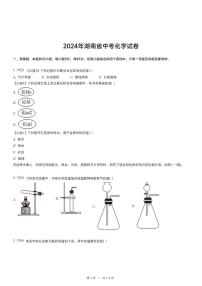 2024年湖南省中考化学试卷（含详细解析）