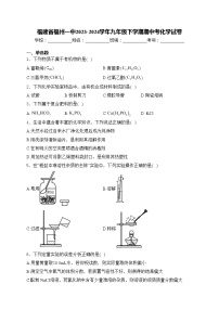 福建省福州一中2023-2024学年九年级下学期期中考化学试卷(含答案)