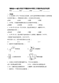 海南省2024届九年级下学期初中中考第三次模拟考试化学试卷(含答案)