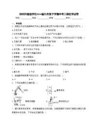 郑州外国语学校2024届九年级下学期中考三模化学试卷(含答案)