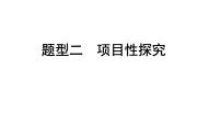 2024宁夏中考化学三轮冲刺全国视野 推荐题型 题型二 项目性探究（课件）