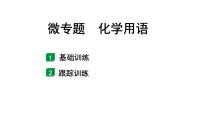 2024山东中考化学二轮专题复习 微专题 化学用语（课件）