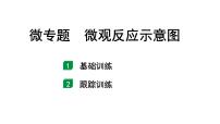 2024山东中考化学二轮专题复习 微专题 微观反应示意图（课件）