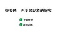 2024山东中考化学二轮专题复习 微专题 无明显现象的探究（课件）
