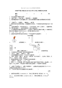 [化学][期末]河南省平顶山市鲁山县2023-2024学年九年级上学期期末化学试卷