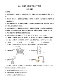 2024年山东省烟台市中考化学真题（含解析）