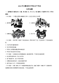 2024年安徽省中考化学真题（含解析）