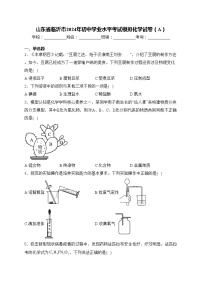 山东省临沂市2024年初中学业水平考试模拟化学试卷（A）(含答案)