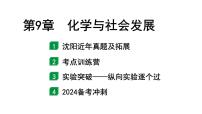 2024沈阳中考化学二轮专题突破 第9章  化学与社会发展（课件）