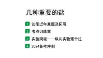 2024沈阳中考化学二轮专题突破 几种重要的盐（课件）