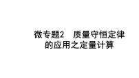 2024四川中考化学二轮复习 微专题2 质量守恒定律的应用之定量计算（课件）