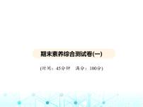 沪教版初中九年级化学上册期末素养综合测试卷(一)课件