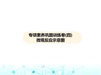 沪教版初中九年级化学上册专项素养巩固训练卷(四)微观反应示意图课件