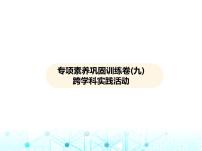 沪教版初中九年级化学上册专项素养巩固训练卷(九)跨学科实践活动课件