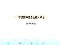 沪教版初中九年级化学上册专项素养综合练(八)课件