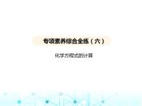 沪教版初中九年级化学上册专项素养综合练(六)课件