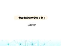 沪教版初中九年级化学上册专项素养综合练(七)课件