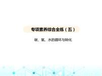 沪教版初中九年级化学上册专项素养综合练(五)课件