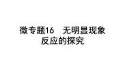 2024四川中考化学二轮复习微专题16 无明显现象反应的探究（课件）