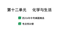 2024四川中考化学一轮复习 第十二单元 化学与生活（课件）