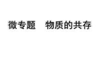 2024四川中考化学一轮复习微专题 物质的共存（课件）