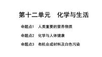 2024长沙中考化学一轮复习 第十二单元 化学与生活（课件）