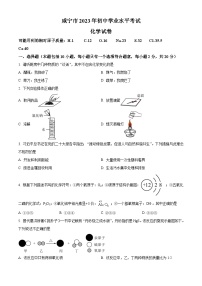 2023年湖北省咸宁市中考化学真题（解析版）