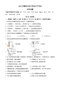 2023年山东省潍坊市中考化学真题（解析版）