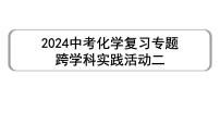 2024中考化学复习专题 跨学科实践活动二  (课件)