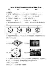 浦北县第三中学2023届九年级下学期3月月考化学试卷(含答案)