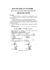 2024年四川省眉山市中考化学真题