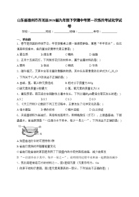 山东省德州市齐河县2024届九年级下学期中考第一次练兵考试化学试卷(含答案)