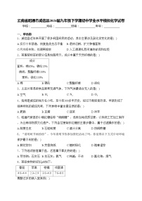 云南省昭通市威信县2024届九年级下学期初中学业水平模拟化学试卷(含答案)