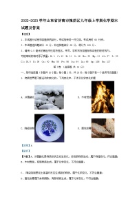 2022-2023学年山东省济南市槐荫区九年级上学期化学期末试题及答案