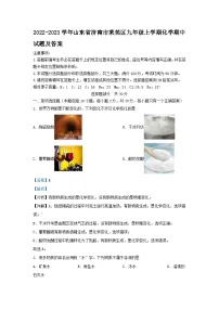2022-2023学年山东省济南市莱芜区九年级上学期化学期中试题及答案