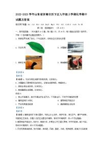 2022-2023学年山东省济南市历下区九年级上学期化学期中试题及答案