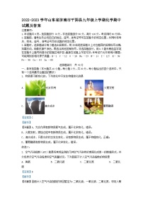 2022-2023学年山东省济南市平阴县九年级上学期化学期中试题及答案