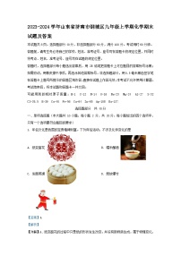 2023-2024学年山东省济南市钢城区九年级上学期化学期末试题及答案